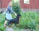 Sljes annonser