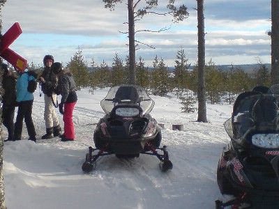 Sljes annonser