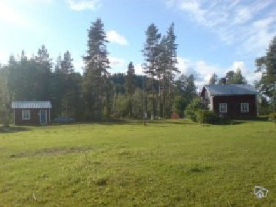 Sljes annonser