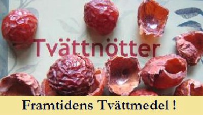 Sljes annonser
