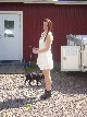 annonser